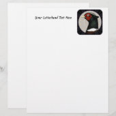 Ringneck (Vorne/Hinten)