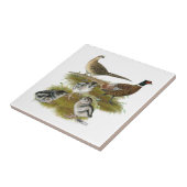 Ringneck Fasan-Familie Fliese (Seite)