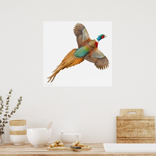 Ringneck Fasan in Flight Print Poster (Küche)