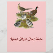 Ringneck Flyer (Vorne)