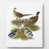 Ringneck Fotoplatte (Vorderseite)