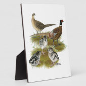 Ringneck Fotoplatte (Seite)