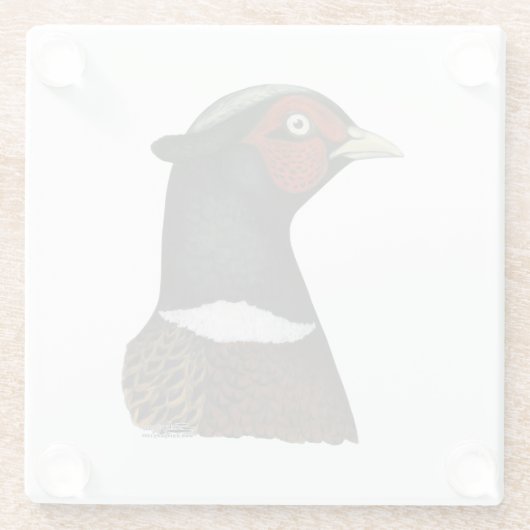 Ringneck Glasuntersetzer (Rückseite)