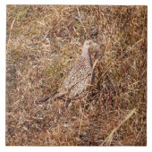 Ringneck Henne-Fasan-Fliese 6" x 6" Fliese (Vorderseite)