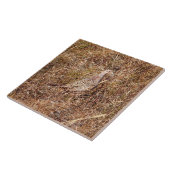 Ringneck Henne-Fasan-Fliese 6" x 6" Fliese (Seite)