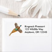 Ringneck-Marke (Insitu)