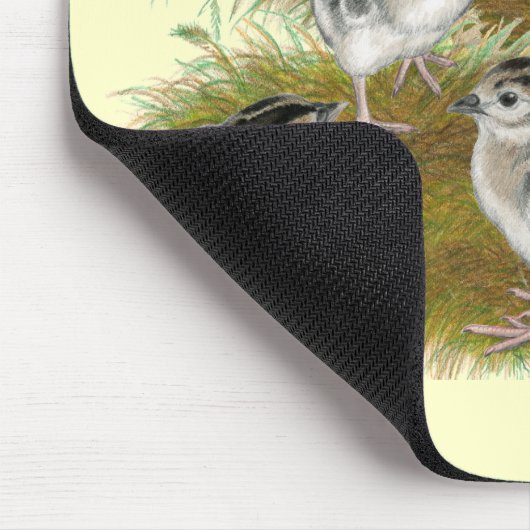 Ringneck Mousepad (Ecke)