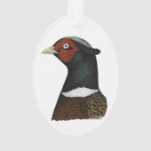 Ringneck Ornament (Rückseite)