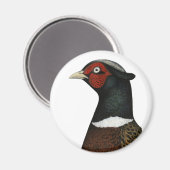 Ringneck Pheasant Head Magnet (Vorderseite/Rückseite)
