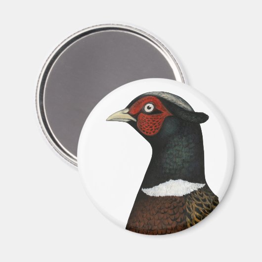 Ringneck Pheasant Head Magnet (Vorderseite/Rückseite)