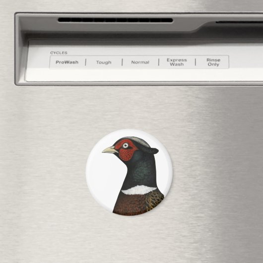 Ringneck Pheasant Head Magnet (In Situ (Geschirrspüler))