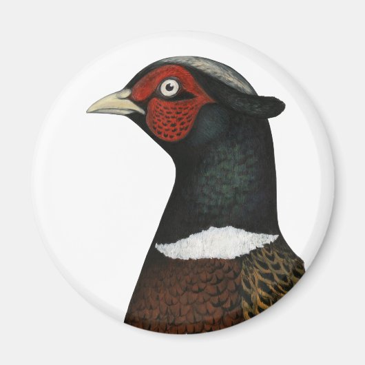 Ringneck Pheasant Head Magnet (Vorne)