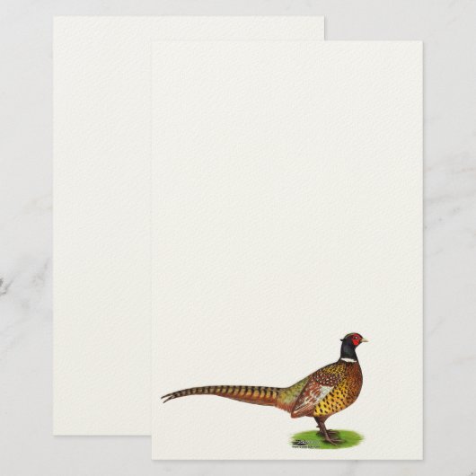 Ringneck Pheasant Rooster Briefpapier (Vorne/Hinten)