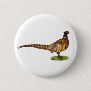 Ringneck Pheasant Rooster Button