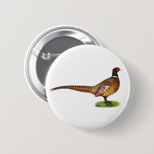Ringneck Pheasant Rooster Button (Vorne & Hinten)