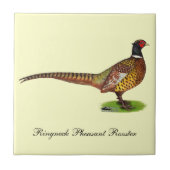 Ringneck Pheasant Rooster Fliese (Vorderseite)