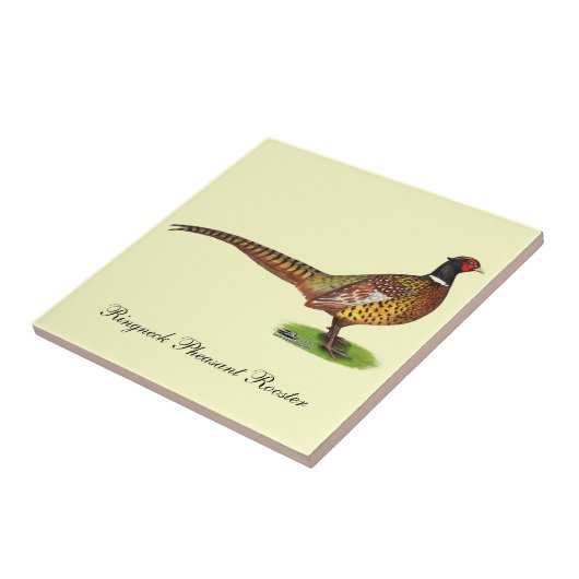 Ringneck Pheasant Rooster Fliese (Seite)