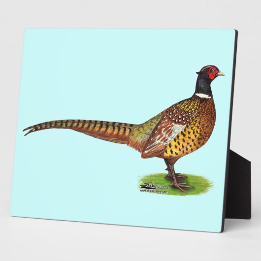 Ringneck Pheasant Rooster Fotoplatte (Seite)