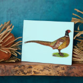 Ringneck Pheasant Rooster Fotoplatte (Seite)