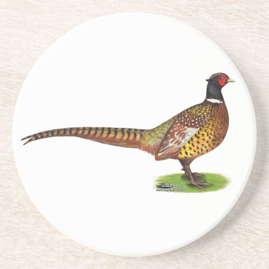 Ringneck Pheasant Rooster Getränkeuntersetzer (Vorne)