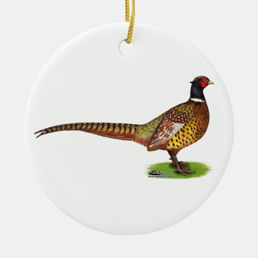 Ringneck Pheasant Rooster Keramikornament (Vorne)