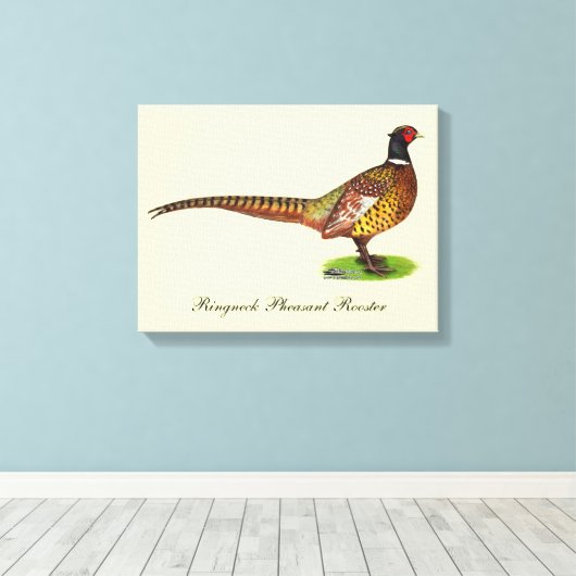 Ringneck Pheasant Rooster Leinwanddruck (Insitu (Holzboden))