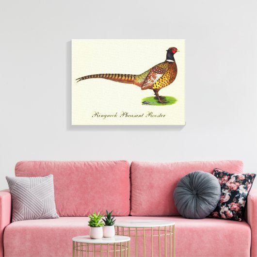 Ringneck Pheasant Rooster Leinwanddruck (Insitu (Wohnzimmer))