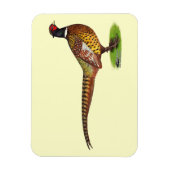 Ringneck Pheasant Rooster Magnet (Vertikal)