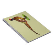 Ringneck Pheasant Rooster Notizblock (Rechte Seite)