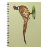 Ringneck Pheasant Rooster Notizblock (Vorderseite)