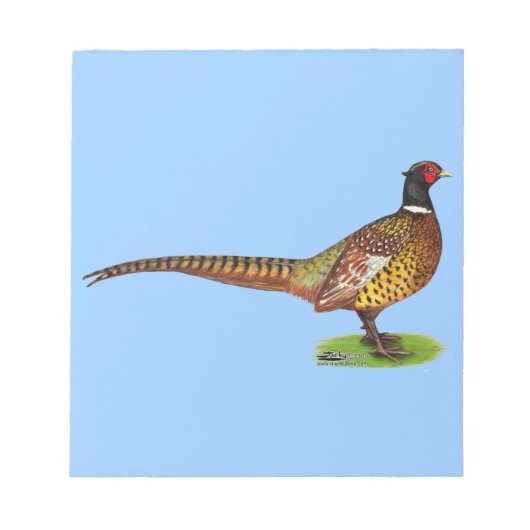 Ringneck Pheasant Rooster Notizblock (Vorderseite)