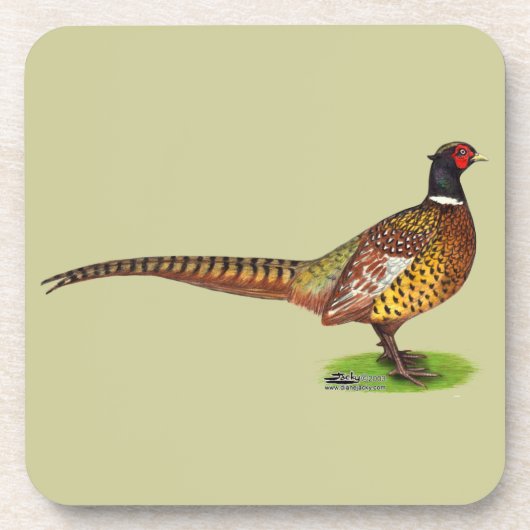 Ringneck Pheasant Rooster Untersetzer (Vorderseite)