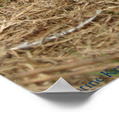 Ringneck Poster (Ecke)