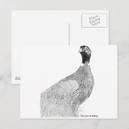 Ringneck Postkarte (Vorne/Hinten)