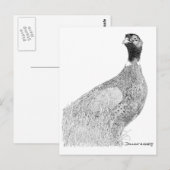 Ringneck Postkarte (Vorne/Hinten)