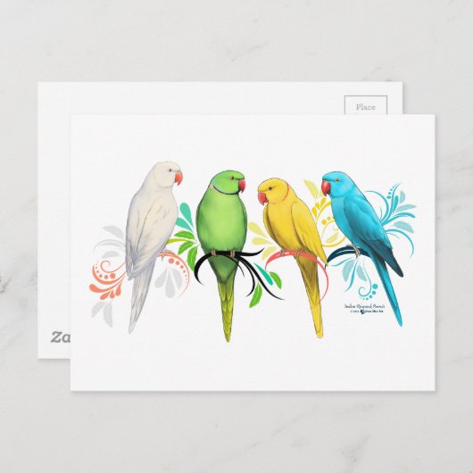 Ringneck Postkarte (Vorne/Hinten)