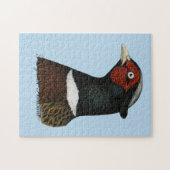 Ringneck Puzzle (Horizontal)