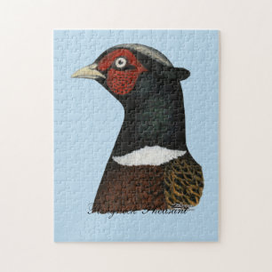 Ringneck Puzzle