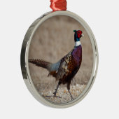 Ringnecked Fasan Silbernes Ornament (Rechts)