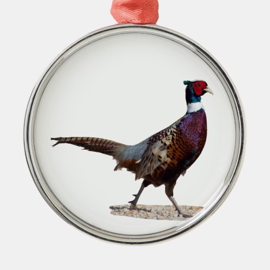 Ringnecked Pheasant Silbernes Ornament (Vorne)