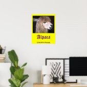 Ringo-Alpaca-Poster Poster (Heimbüro)
