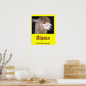 Ringo-Alpaca-Poster Poster (Küche)