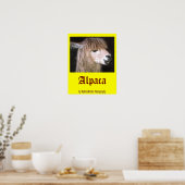 Ringo-Alpaca-Poster Poster (Küche)