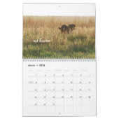 Ringo the Chocolate Labrador Calendar Kalender (Mär 2026)