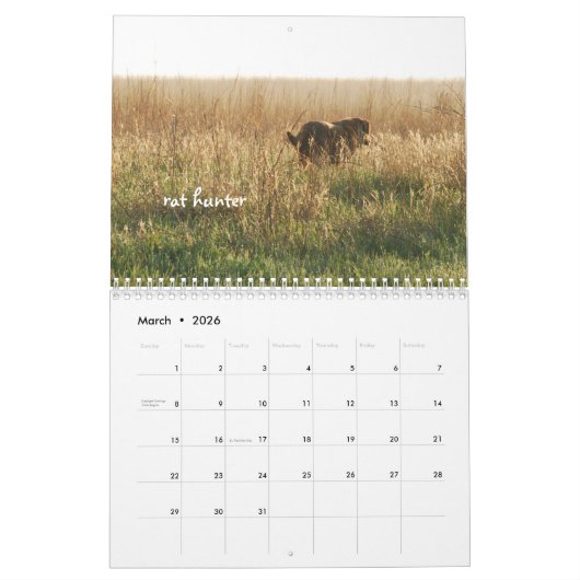 Ringo the Chocolate Labrador Calendar Kalender (Mär 2026)