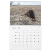 Ringo the Chocolate Labrador Calendar Kalender (Feb 2026)