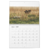 Ringo the Chocolate Labrador Calendar Kalender (Mär 2027)