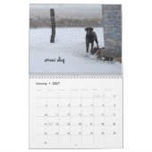 Ringo the Chocolate Labrador Calendar Kalender (Jan 2027)