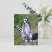 Rings-Segeltuch auf Gras Postkarte (Stehend Vorderseite)