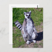 Rings-Segeltuch auf Gras Postkarte (Vorne/Hinten)